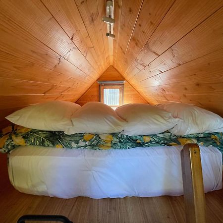 Studio Or Cabin On Whitby Nelson Esterno foto